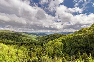 Danita Delimont Prints: View of Deep Creek in spring, Great Smoky Mountains National Park, North Carolina