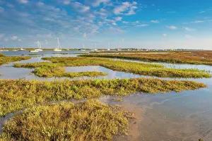 Maritime Prints: View of estuary saltmarsh habitat and boats with rising tide