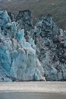 Alaskan Prints: View of glacier face of Lamplugh Glacier in Johns Hopkins Inlet in Glacier Bay National Park