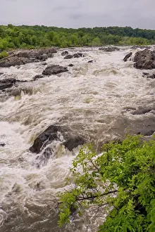 2023 Prints: View of the Great Falls of the Potomac River from the Great Falls Overlook (Olmstead Island)