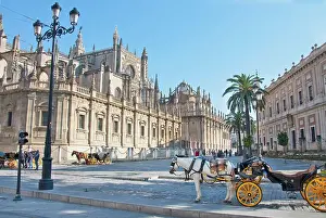 House Wall Prints: View of horse cab at Sevilla cathedral, Sevilla, Andalusia, Spain