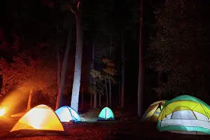 Tent Prints: view of the illuminated tents in the middle of the forest at night