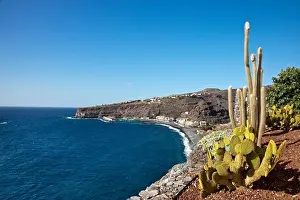 Coast Prints: View from Jardin Tecina Hotel over cactusses in the sunlight at Playa de Santiago