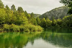 2023 Prints: View of a lake in Plitvice Lakes National Park, Croatia