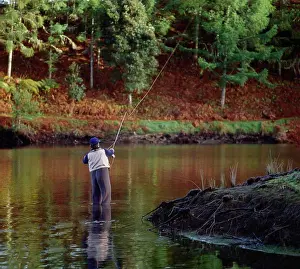 Wading Prints: Back view of man wading and casting line in water fishing for trout in autumn