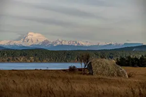 Glacier Prints: View of Mount Baker from the American Camp (San Juan Island National Historical Park)