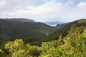 Rolling Landscape Prints: View towards Piha Beach, Auckland Province, North Island, Tasmanian Sea, New Zealand