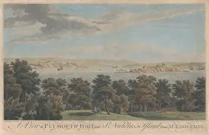 Laid Paper Prints: A View of Plymouth Fort and St