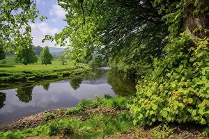 Freshwater Prints: View of river and riverside trees