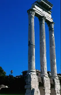 Forum Prints: View of the Roman Forum 2013