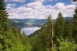 Baden Wuerttemberg Prints: View at Titisee-Neustadt on Titisee (lake)
