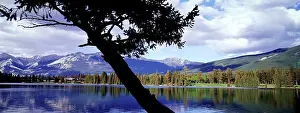 Reflections Prints: View through tree of mountains and Lake Beauvert, Jasper National Park, Canada
