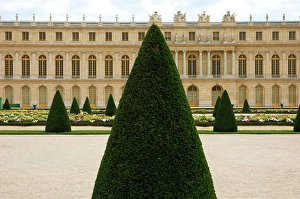 Cone Prints: View of Versailles palace from the gardens