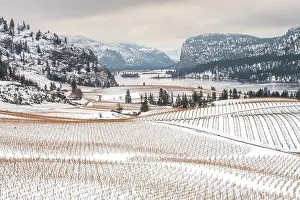 Viticulture Prints: View of vineyards in winter with Vaseux Lake and McIntyre Bluff between the town of Oliver and Okanagan Falls