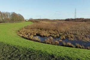 Conservation Prints: View of wetland habitat with electricity transmission pylons in background