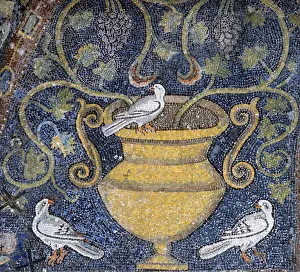 Doves Prints: Vine and doves, symbol of the resurrection, 6th century mosaic, San Vitale, Ravenna, Italy