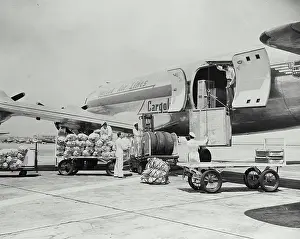 Tarmac Prints: Vintage photograph. Four engined United Air Line Cargoliner 230 exterior view showing loading of cargo on tarmac
