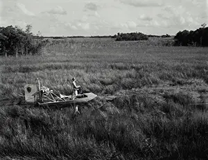 Swamp Prints: Vintage Photograph. Air boat in the Florida Everglades