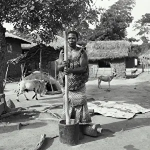 Everyday Life Prints: Vintage Photograph. Baoule woman