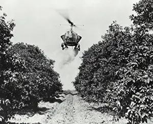 Aviation Prints: Vintage photograph. Bell helicopter performing Black fly fogging operations