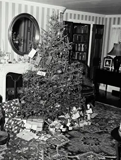 Interior Design Prints: Vintage Photograph. A well decorated Christmas tree with a pile of presents below it
