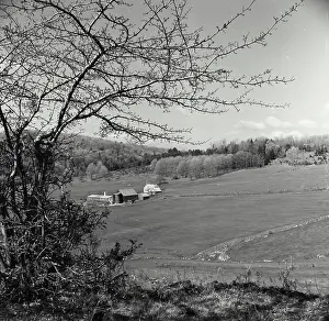 Rural Scene Prints: Vintage Photograph. Farm Scenic Thetford Vermont