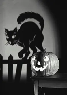 Halloween Prints: Vintage photograph. Jack o Lantern with shadow of cat on fence