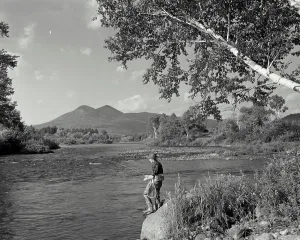 Fly Fishing Prints: Vintage Photograph. A man fishing on Ammonoosuc River with Peroy Peaks in the background