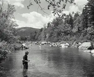 Fly Fishing Prints: Vintage Photograph. A man fishing while knee deep in the Wild River