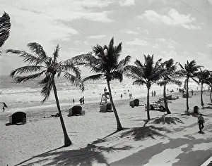 Waves Prints: Vintage Photograph. People on beach with line of palm trees, Hollywood Beach, Florida