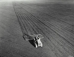 Tractor Prints: Vintage Photograph. Plow and drag harrow preparing land for bean production