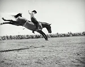Toughness Prints: Vintage photograph. Side profile of a cowboy riding a bucking horse at a rodeo