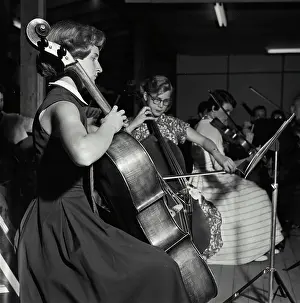 Camp Prints: Vintage Photograph. String section of Orchestra group