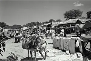 Donkey Prints: Vintage Photograph. View of the market at St. Maro, Haiti