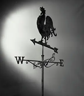 Measurement Prints: Vintage photograph. Weather vane with rooster standing on arrow design