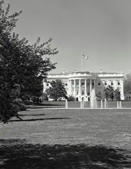 Columns Prints: Vintage Photograph. The White House in spring. Frame 2