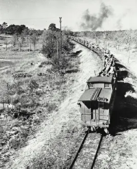 B And W Prints: Vintage photograph. The world overland log run