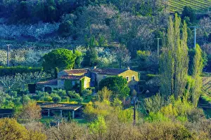 Provence Prints: vinyard estate and cherry orchard seen from town of Bonnieux, Provence, France