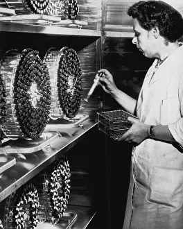 Vaccine Prints: Virus Farm Polio Vaccine -- Miss Elsie N