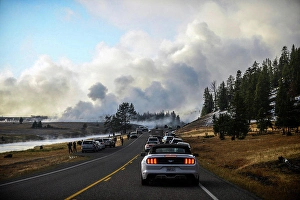 Parked Prints: Visitors stop cars to watch bisons in Yellowstone National Park, USA