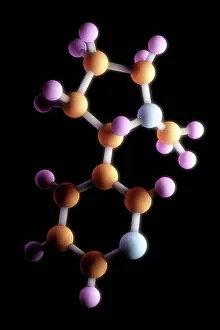 Molecule Prints: Visualization of the molecular structure of nicotine