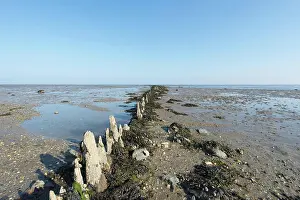 2014 Prints: Wadden sea in Holland Wadden sea at the island Terschelling in Holland Copyright: xZoonar