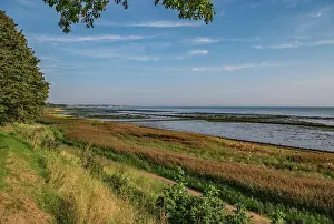 Grasses Prints: Wadden Sea zone on the Wadden Sea on the Wadden Sea from Keitum