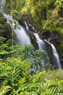 Cascade Prints: Waikani Falls, in lush jungle, on the road to Hana, Maui, Hawaii
