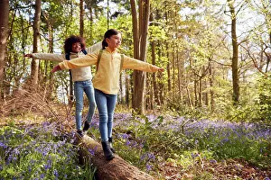Freunde Prints: wald, baumstamm, kinder, gleichgewicht
