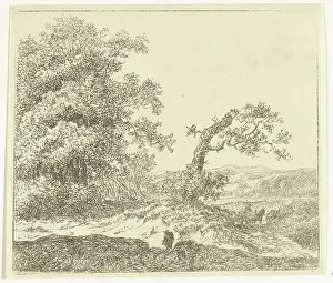 Walker in the Duinen Buite Haarlem