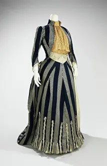Variety Prints: Walking dress ca. 1885 House of Worth French The bustle silhouette