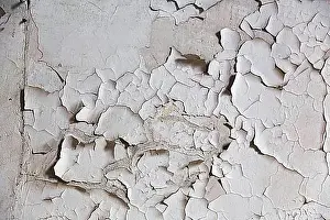 Filling The Picture Prints: Detail of a wall, cracks, peeling paint, lost place, full-size, Germany, Europe