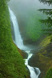 Unitedstates Prints: Wallace Falls on a Foggy Day From the Miidle Falls View Point in Wallace Falls State Park in Washington