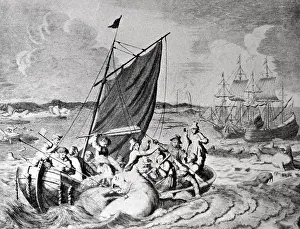 Hunt Prints: walrus hunt nova Zembla 1596. Willem Barentsz (William Barents or Barentz) (c)